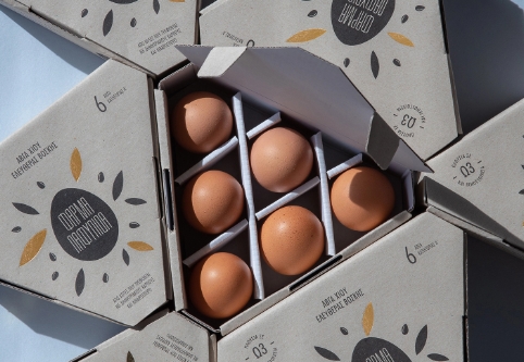 egg packaging design